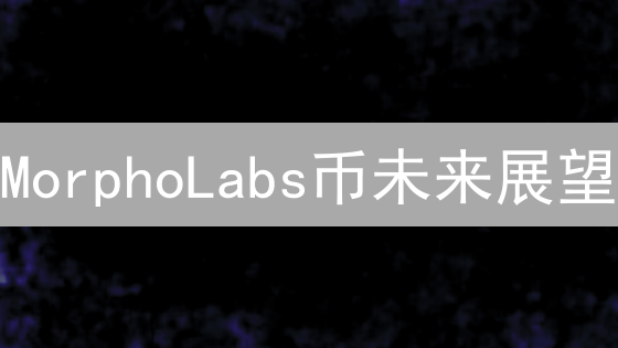 MorphoLabs币未来展望：DeFi借贷新星？投资机会与风险解析！