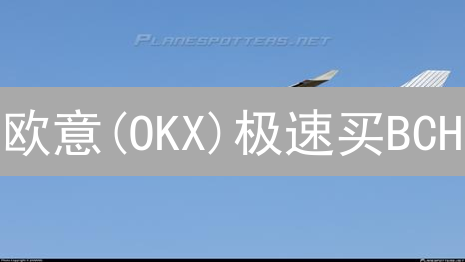 欧意(OKX)极速买BCH：新手指南！安全便捷交易，赢在起跑线！