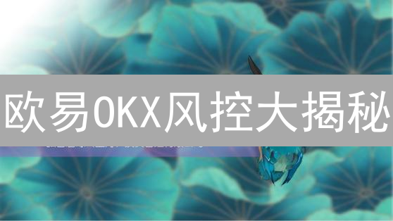 欧易OKX风控大揭秘：如何守护你的加密资产？【必看】