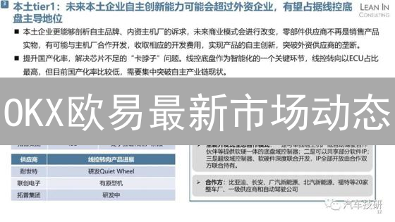 OKX欧易最新市场动态：交易者必读！速览涨跌！