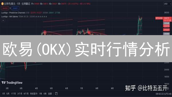 欧易(OKX)实时行情分析：新手交易员必看指南！