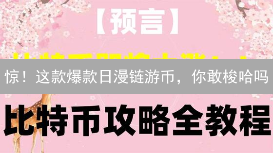 惊！这款爆款日漫链游币，你敢梭哈吗？新手速成POTK攻略！