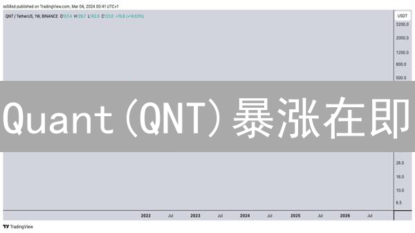Quant(QNT)暴涨在即？新手购买QNT完整指南！
