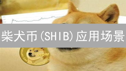 柴犬币(SHIB)应用场景：超越支付的DeFi、NFT与元宇宙探索