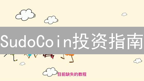 SudoCoin投资指南：避坑！新手必看购买全攻略