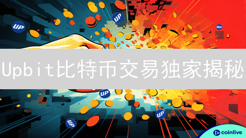 Upbit比特币交易独家揭秘：新手也能轻松盈利？